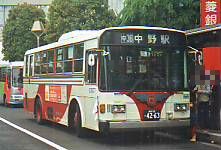 nerima22ka4263.jpg